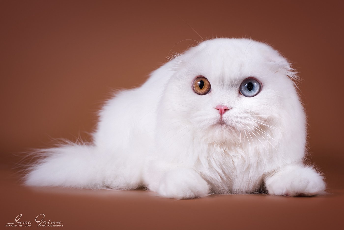 CH. EIRA ART LALELLE